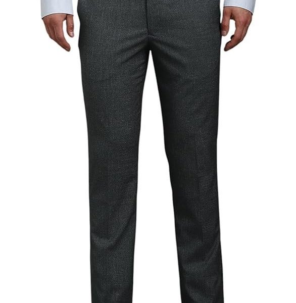 Louis Philippe Men's Slim Fit Mid Rise Strechable Fabric Easy to Iron Textured Formal Trouser